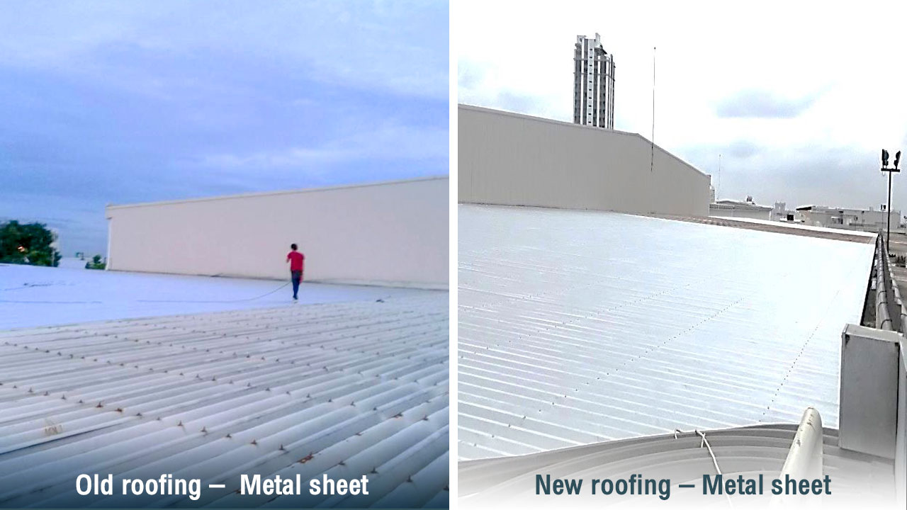 Paradise Reroof